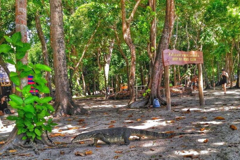 Koh Lanta: Adventure Sea Tour to Koh Rok and Koh Haa - Beaches and Leisure Time