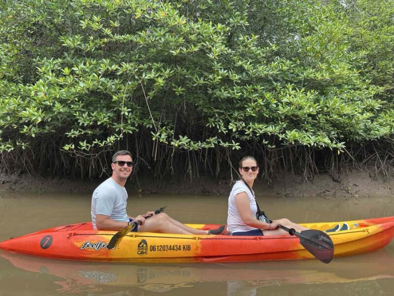 Koh Lanta: Amazon Mangrove Kayaking Tour With Lunch - What Travelers Are Saying: Honest Perspectives