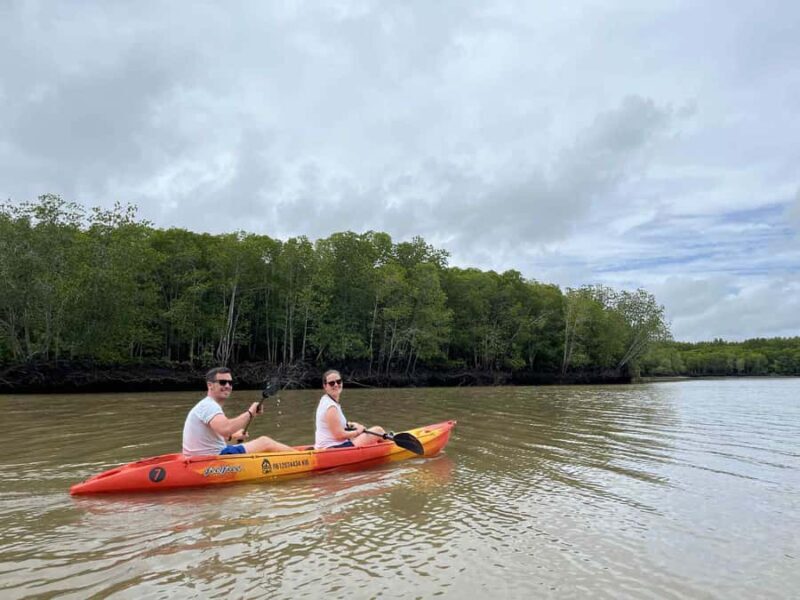 Koh Lanta: Amazon Mangrove Kayaking Tour With Lunch - Why This Tour Offers Good Value