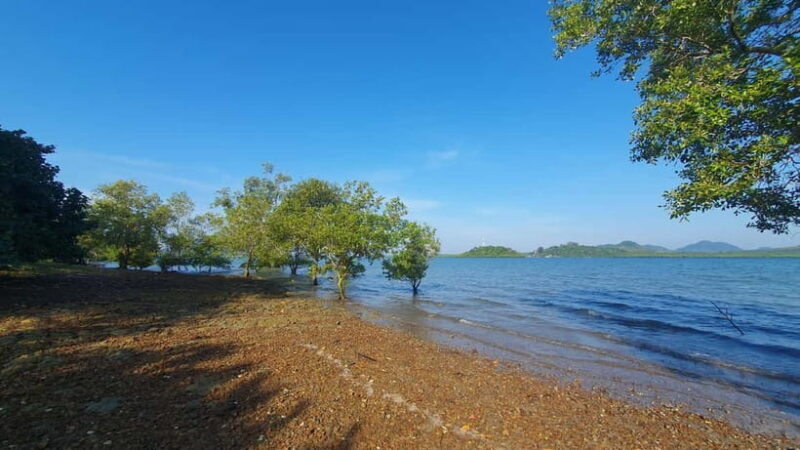 Koh Lanta Cultural Tuk-Tuk Tour: Old Town, Batik & Mangroves - Itinerary Breakdown and Highlights