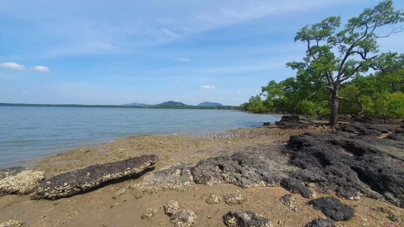 Koh Lanta Cultural Tuk-Tuk Tour: Old Town, Batik & Mangroves - The Sum Up