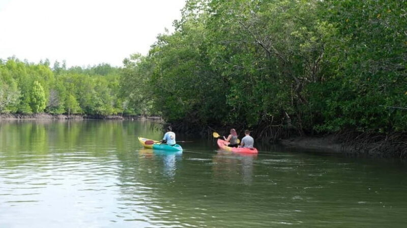 Koh Lanta: Paddle Serenity & Thung Yee Pheng's Mangrove Maze - An In-Depth Look at the Experience