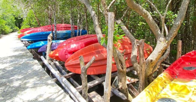 Koh Lanta:Mangrove + Elephant Camp Half Day Tour - An Introduction to the Tour