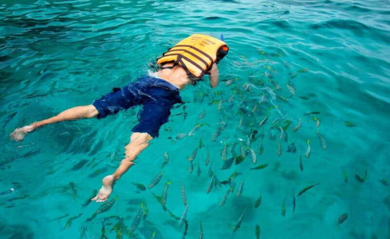 Koh Lipe: 5 Island Snorkeling Trip by Longtail Boat w/ Lunch - Final Thoughts: Who Will Love This Tour?
