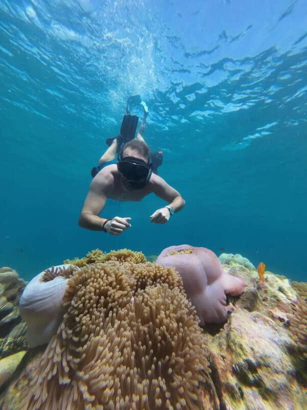 Koh Lipe: Half-Day Snorkeling (Morning/Afternoon/Sunset) - The Itinerary in Detail: What You’ll Experience