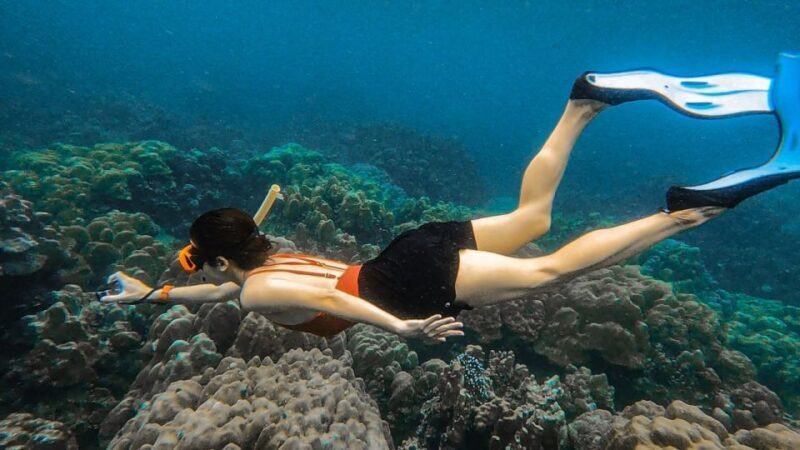 Koh Lipe: Longtail Boat Snorkeling Trip Program A - What Makes This Tour Stand Out?