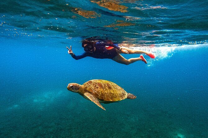 Koh Nang Yuan and Koh Tao 5 Point Snorkeling Tour - The Itinerary: What to Expect on the Water
