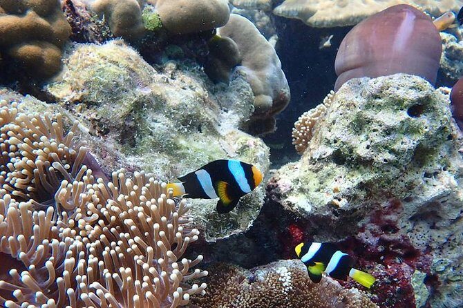Koh Ngai, Koh Muk + Emerald Cave Snorkeling Tour by Classic Longtail Boat - Frequently Asked Questions