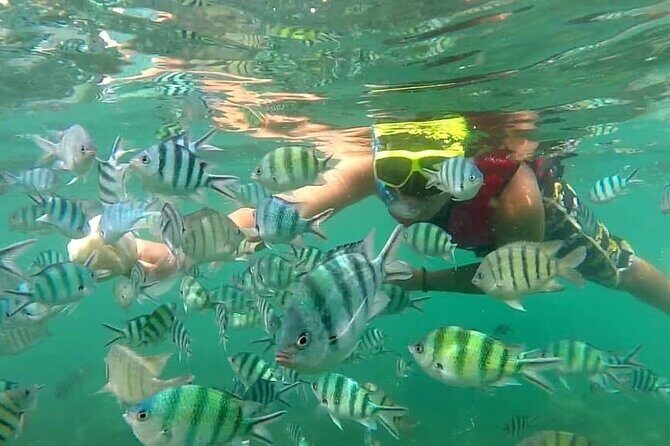 Koh Phangan Snorkelling Cruise with Sunset - What Makes This Tour Stand Out?