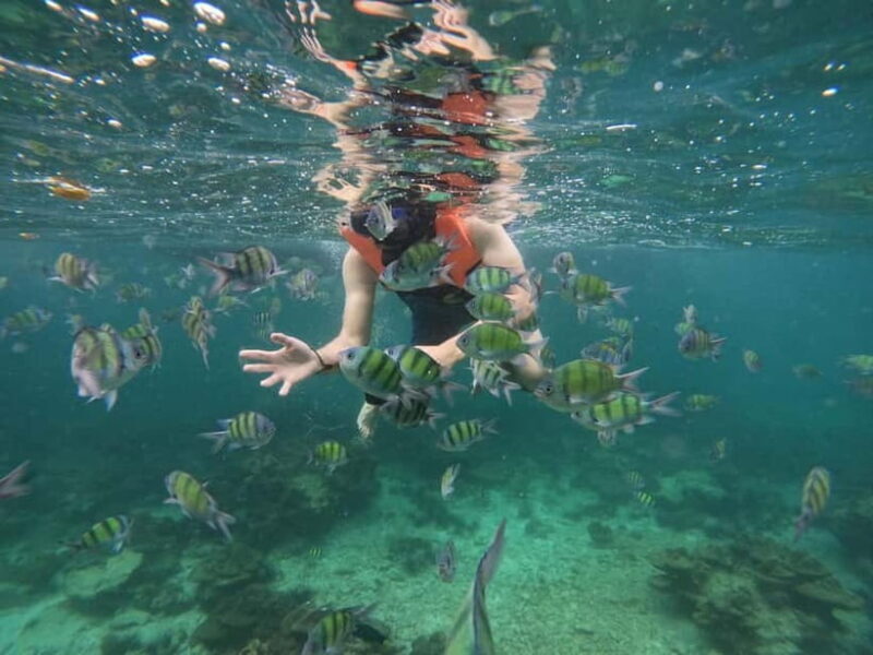 Koh Phi Phi: Halfday Sunset Bamboo & Nui Bay Speedboat Tour - An In-Depth Look at the Tour Itinerary