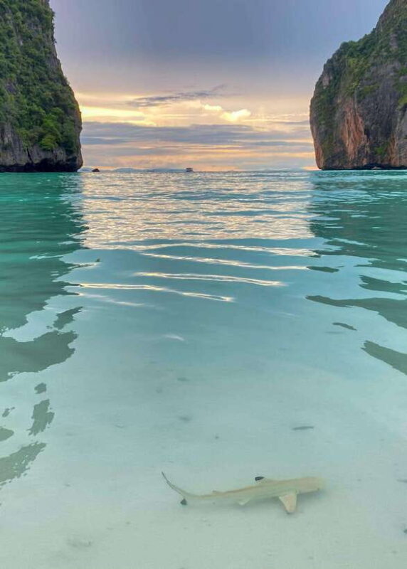 Koh Phi Phi: Maya Bay Private Longtail Boat Tour - An Authentic Look at the Koh Phi Phi Private Longtail Boat Tour