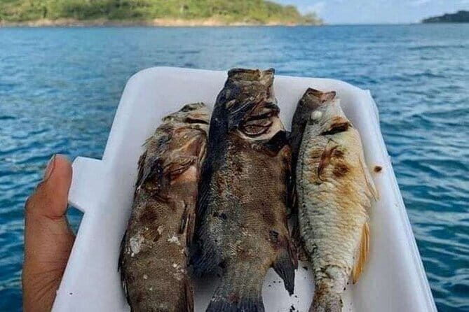 Koh Rong Fishing & Snorkeling tour (Private) - The Itinerary in Detail