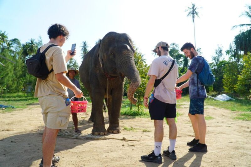 Koh Samui: 4x4 Sightseeing Safari & Elephant Sanctuary Tour - The Tour’s Strengths: Authentic, Fun, and Educational