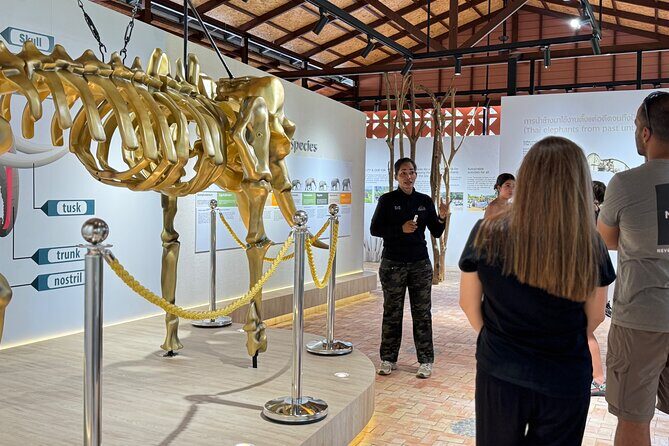 Koh Samui Elephant Home Sanctuary and the first Elephant Museum - An In-Depth Look at the Experience