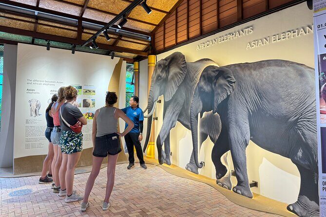 Koh Samui Elephant Home Sanctuary and the first Elephant Museum - FAQs