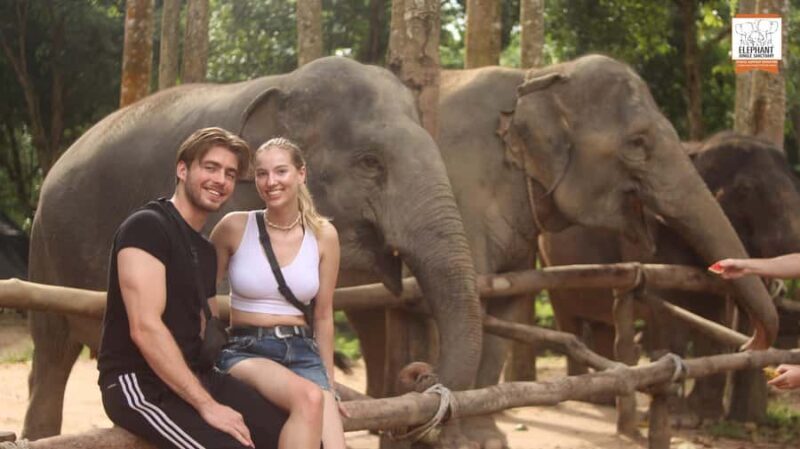 Koh Samui: Elephant Sanctuary Entry and Feeding Experience - Practical Tips for Visitors