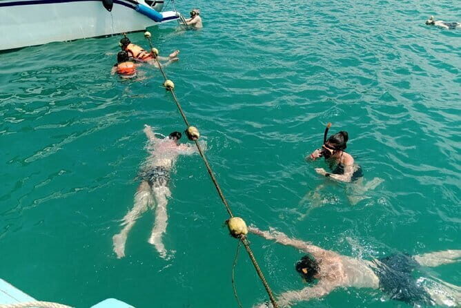 Koh Samui Island Hopping Adventure in Coral and Pig Island - The Experience and the Guides