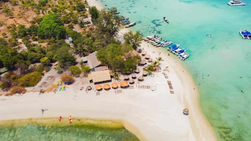 Koh Samui: Pig Island Day Tour by Speedboat - Key Points