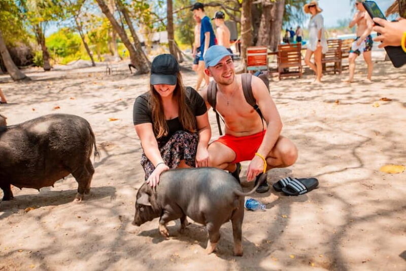 Koh Samui: Pig Island Day Tour by Speedboat - The Authentic Experience