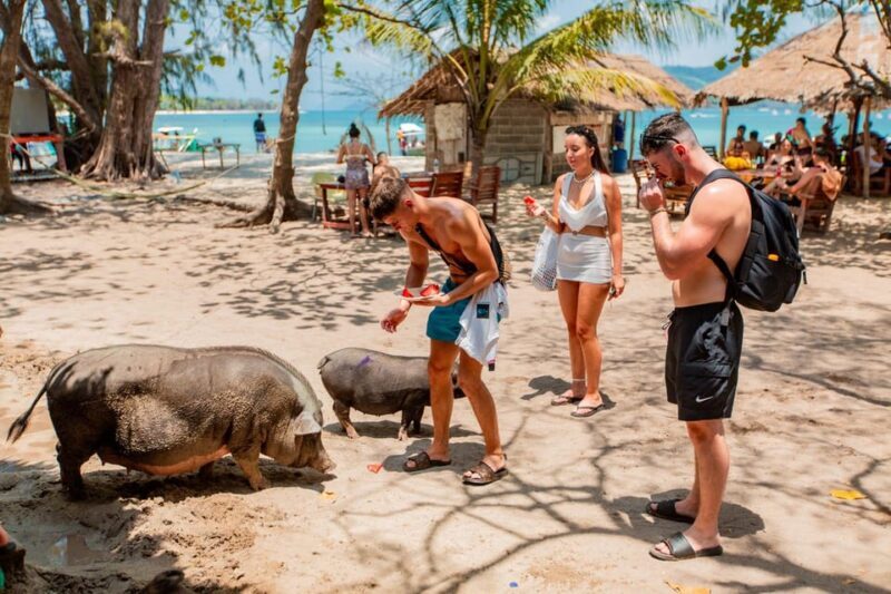 Koh Samui: Pig Island Day Tour by Speedboat - FAQ