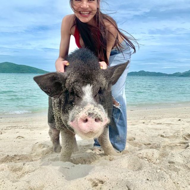 Koh Samui: Pig Island & Koh Tan Snorkeling by Speed boat - The Experience: What Travelers Can Expect