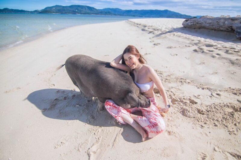 Koh Samui: Pig Island & Koh Tan Snorkeling by Speed boat - Value for Money: Is It Worth It?