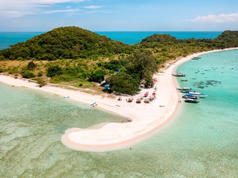 Koh Samui: Pig Island & Koh Tan Snorkeling by Speed boat - The Sum Up: Who Should Book This Tour?