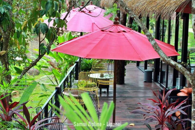 Koh Samui: Samui Zipline Adventure with Transfer service - The Sum Up
