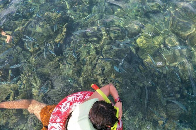 Koh Samui Snorkeling and Kayaking - Considerations Based on Reviews