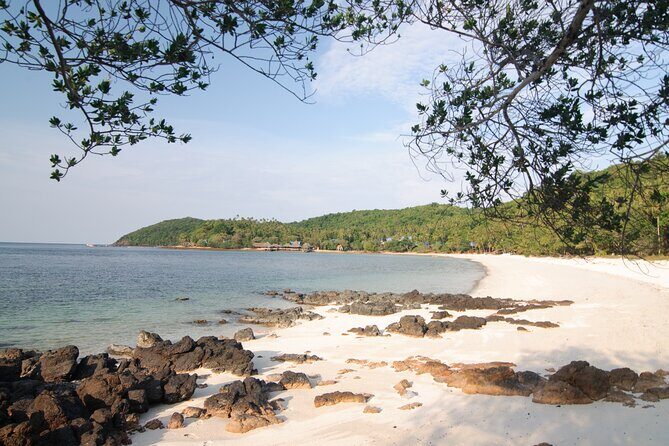 Koh Talu Full Day Shared Experience with Lunch - An In-Depth Look at the Koh Talu Full-Day Tour