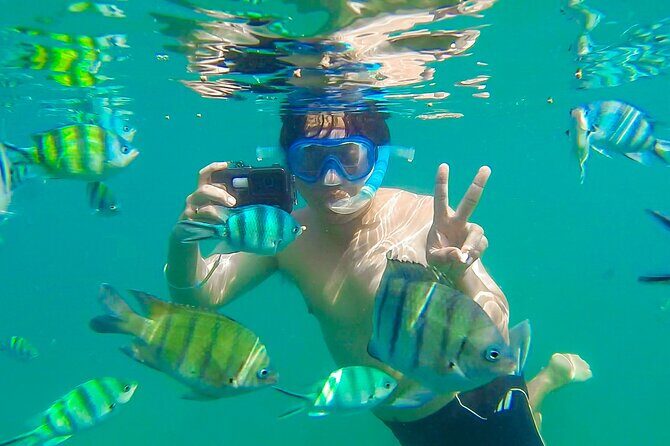 Koh Talu Full Day Shared Experience with Lunch - FAQ