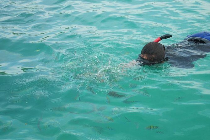 Koh Tan and Koh Madsum Snorkeling Trip By Speedboat From Koh Samui - An Honest Look at the Koh Tan and Koh Madsum Snorkeling Trip