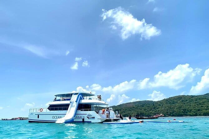 Koh Tan and Pig Island Half-Day Tour by Speed Catamaran - The Itinerary in Detail