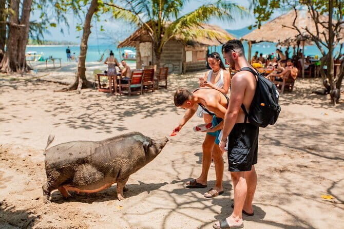Koh Tan and Pig Island Half-Day Tour by Speed Catamaran - The Experience: Timing and Practicalities