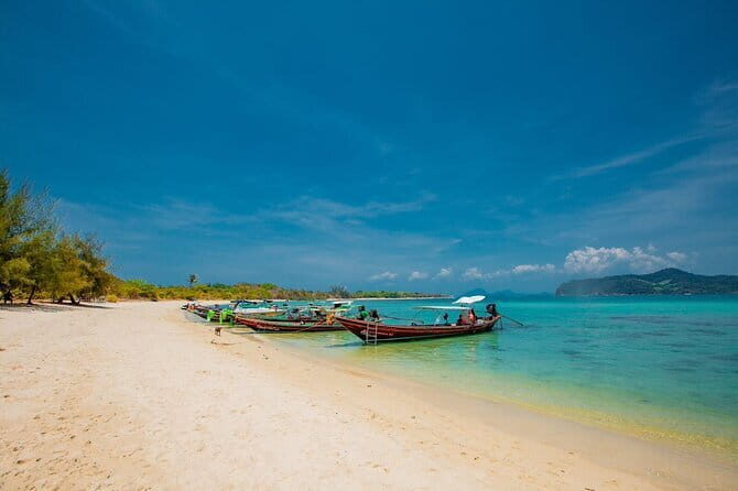 Koh Tan and Pig Island Half-Day Tour by Speed Catamaran - Final Thoughts