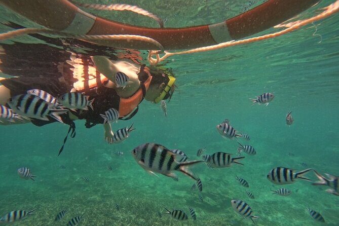 Koh Tao and Koh Nang Yuan Speedboat Tour from Koh Phangan - Frequently Asked Questions