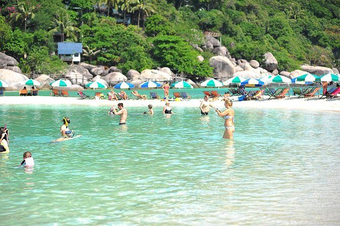 Koh Tao and Koh Nang Yuan Speedboat Tour from Koh Samui - Transport, Timing, and Group Size