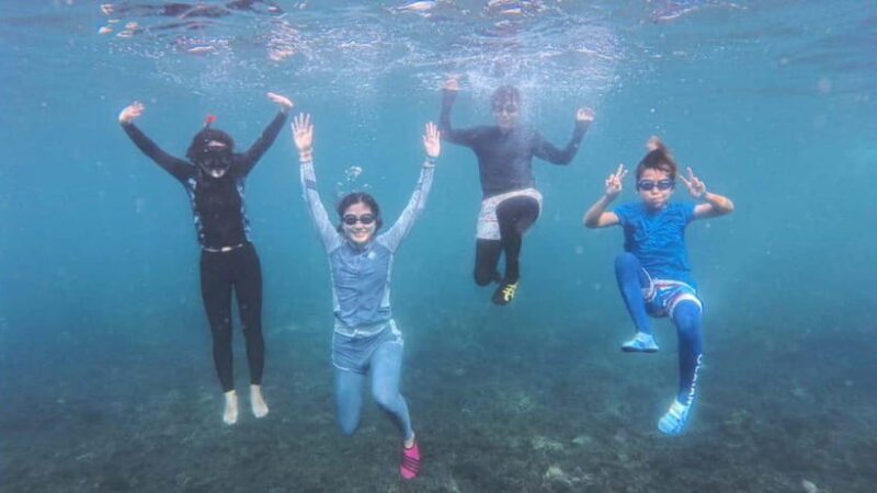 Koh Tao: First Light Snorkel Adventure with Oxygen Tours - Key Points