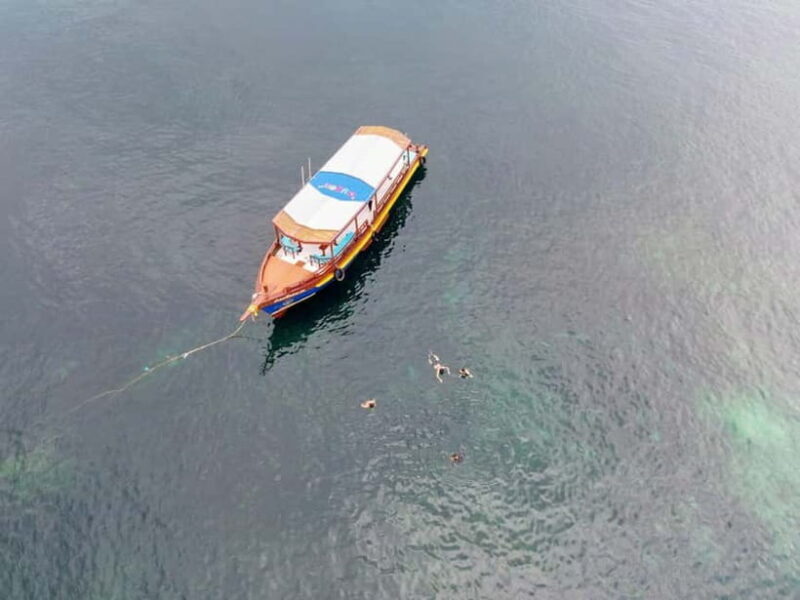 Koh Tao: First Light Snorkel Adventure with Oxygen Tours - Why Travelers Love This Tour