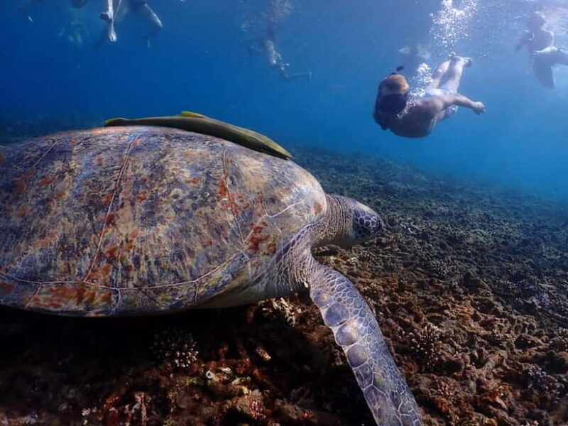 Koh Tao: Golden Hour Getaway Your Late Start to Paradise - A Detailed Look at the Koh Tao Golden Hour Getaway