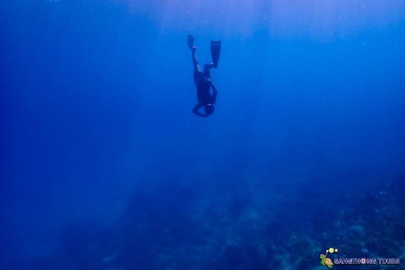 Koh Tao: Islands Snorkeling Highlights Day Tour & Lunch - Who Should Book This Tour?