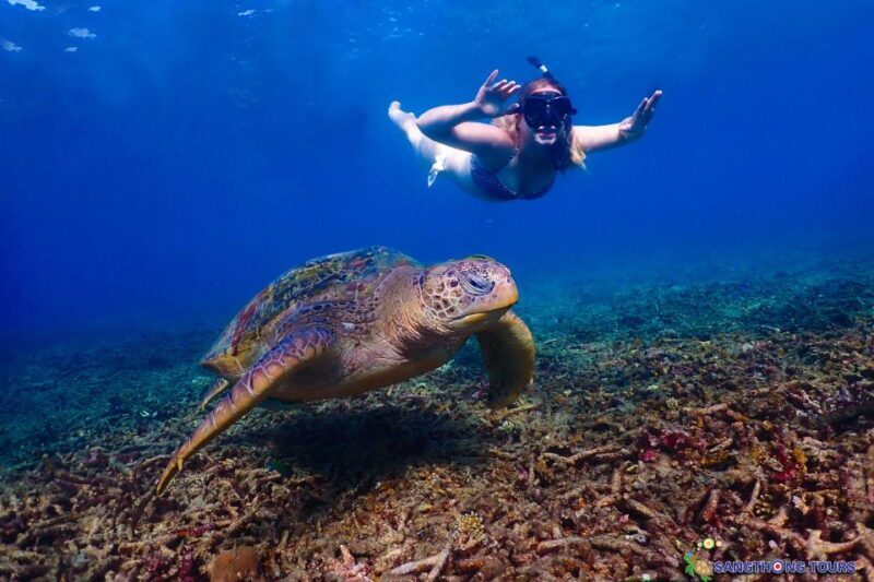 Koh Tao: Islands Snorkeling Highlights Day Tour & Lunch - Frequently Asked Questions (FAQs)