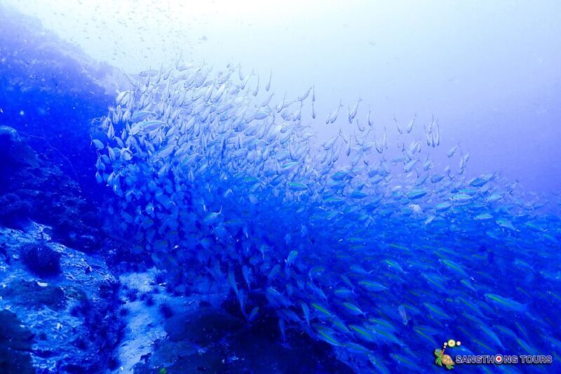 Koh Tao: Islands Snorkeling Highlights Day Tour & Lunch - Final Thoughts