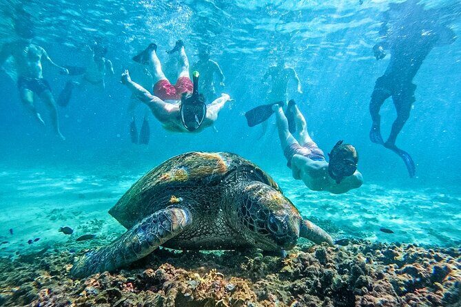Koh Tao, Koh Nangyuan and Hidden Bays Snorkeling with Lunch - What the Tour Includes and What to Consider