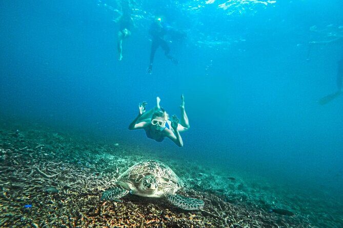 Koh Tao, Koh Nangyuan and Hidden Bays Snorkeling with Lunch - The Value Proposition