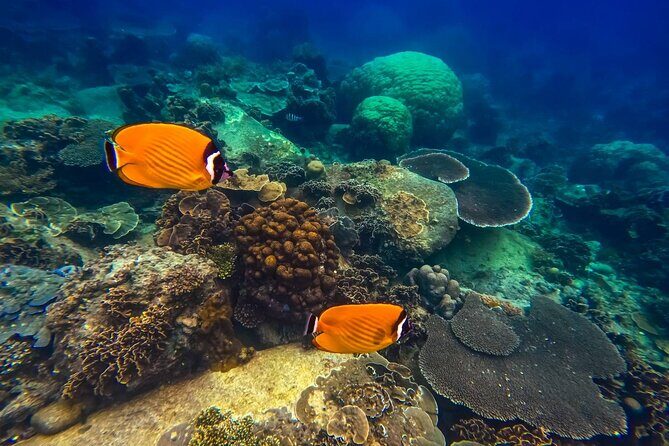 Koh Tao, Koh Nangyuan and Hidden Bays Snorkeling with Lunch - Who Should Book This Tour?