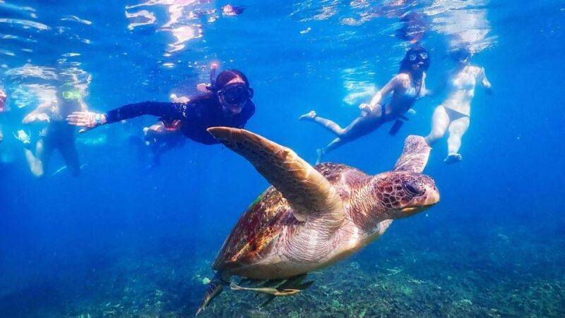 Koh Tao: Koh Nangyuan and the Hidden Bays Trip by the Oxygen - In The Sum Up