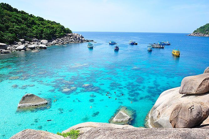 Koh Tao & Koh Nangyuan Snorkeling Trip By Speedboat From Koh Phangan - An In-Depth Look at the Tour Experience