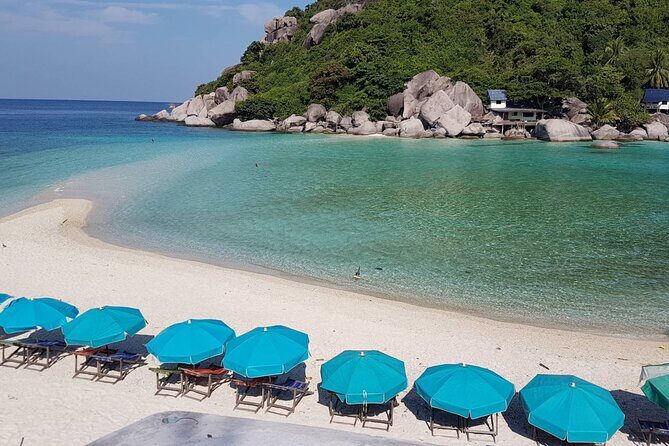 Koh Tao & Koh Nangyuan Snorkeling Trip By Speedboat From Koh Phangan - FAQ