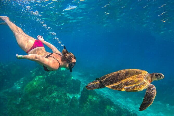 Koh Tao : Private Road Trip To 8 Famous Places - FAQ